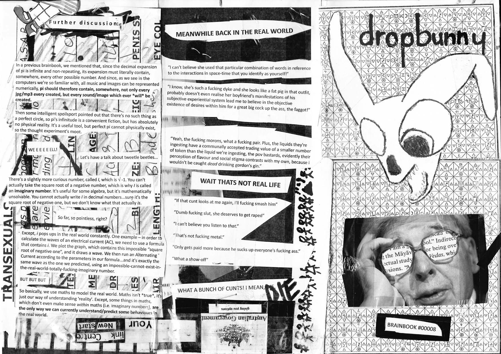 dropbunny brainbooks